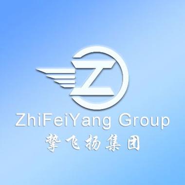 挚飞扬(深圳)科技